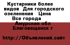 Кустарники более 100 видов. Для городского озеленения › Цена ­ 70 - Все города  »    . Амурская обл.,Благовещенск г.